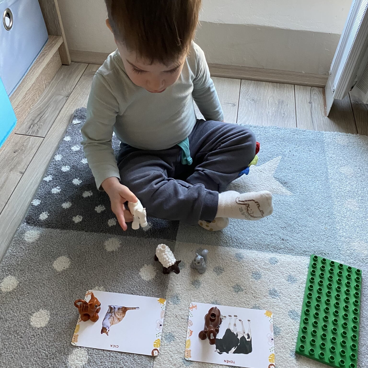 Kisfiú játszik a csemete jelek babajelbeszéd kártyákon lévő állatokkal úgy, hogy játék állatokat rak rá.